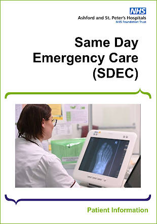 Click to view the SDEC leaflet